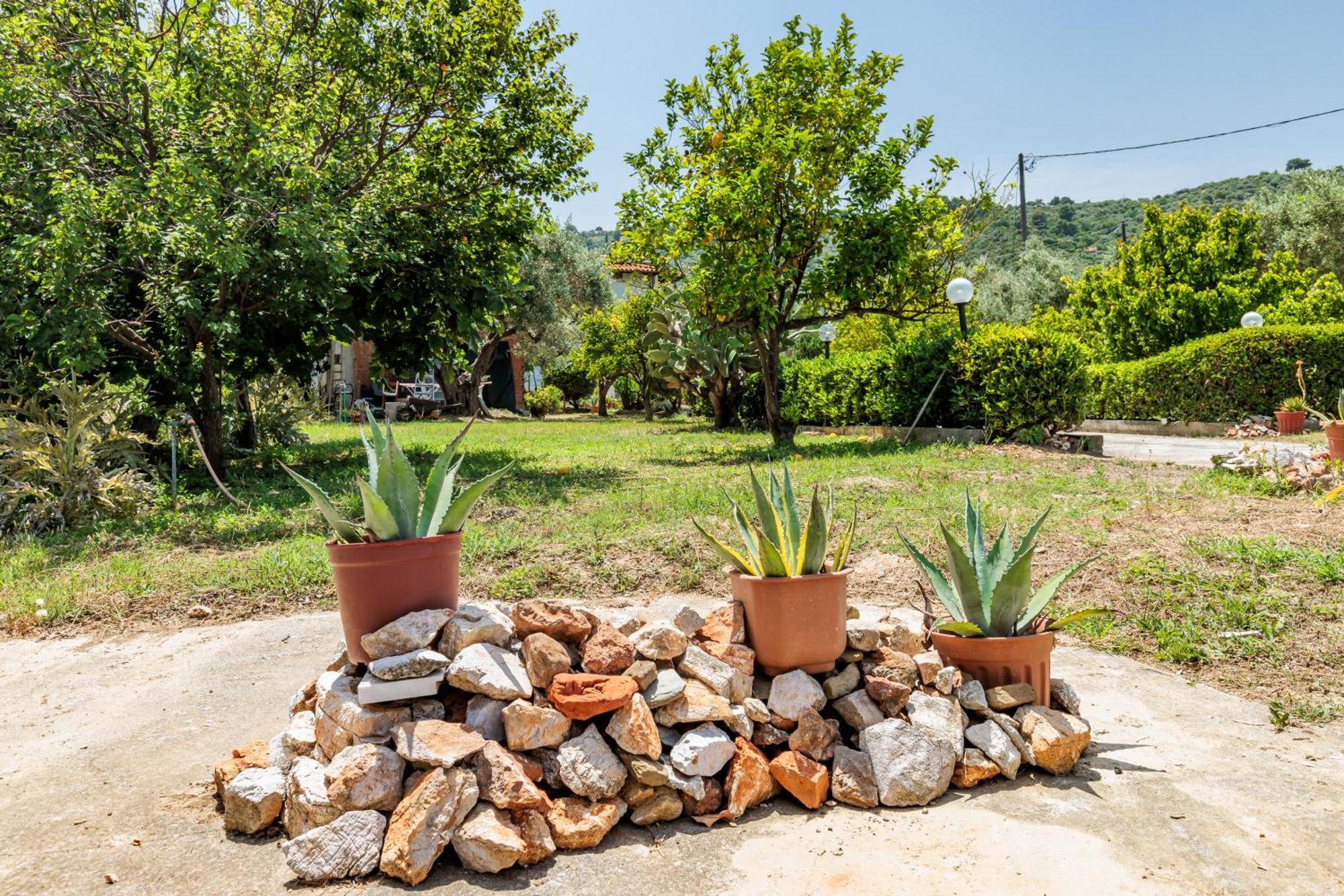 Panagou Studios Bandar Skopelos Luaran gambar