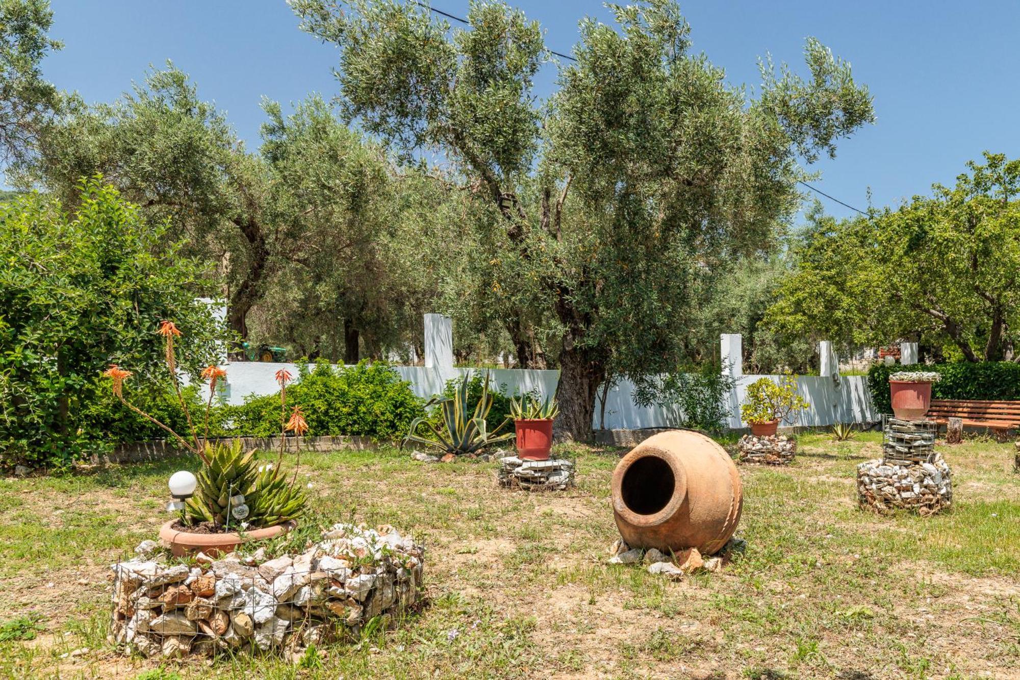 Panagou Studios Bandar Skopelos Luaran gambar