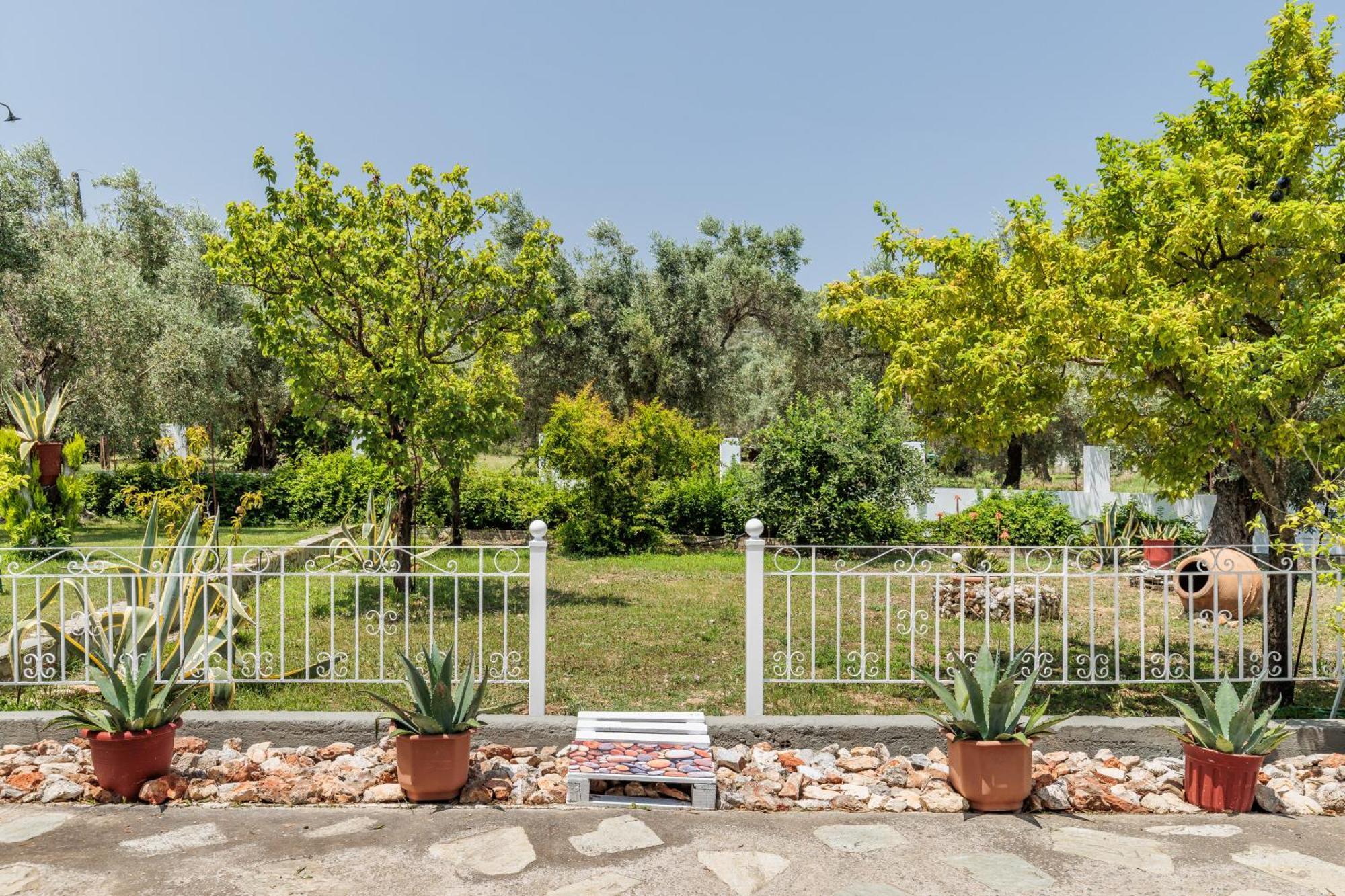 Panagou Studios Bandar Skopelos Luaran gambar